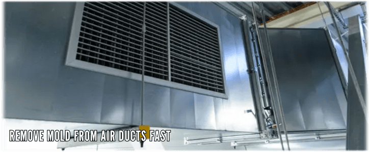 Air Duct Mold Removal in McHenry IL