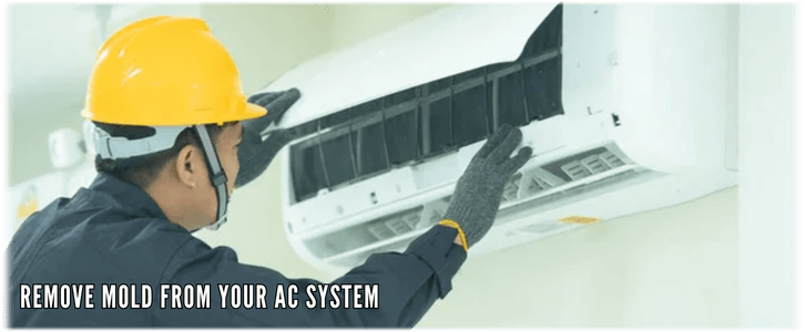 HVAC Mold Removal McHenry IL